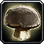 INV_Mushroom_13