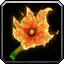 INV_SummerFest_FireFlower