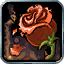 Death and Decay