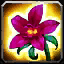 Desert Rose icon